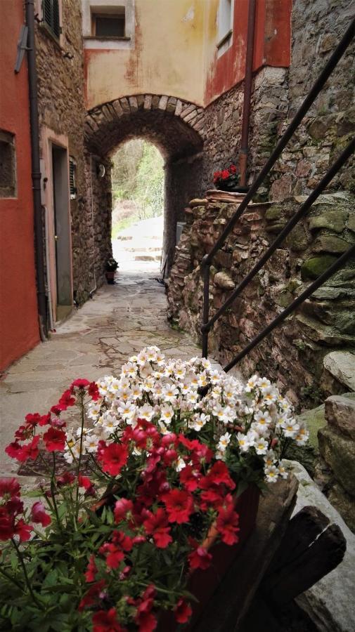 Borgo di Codeglia - Country Rooms Riccò del Golfo di Spezia Esterno foto